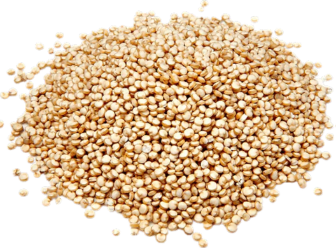 Quinoa Blanc en vrac BIO